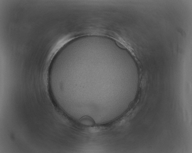 X0000116610103200912241741