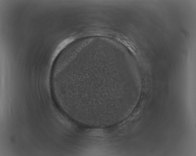 X0000116610104200912241741