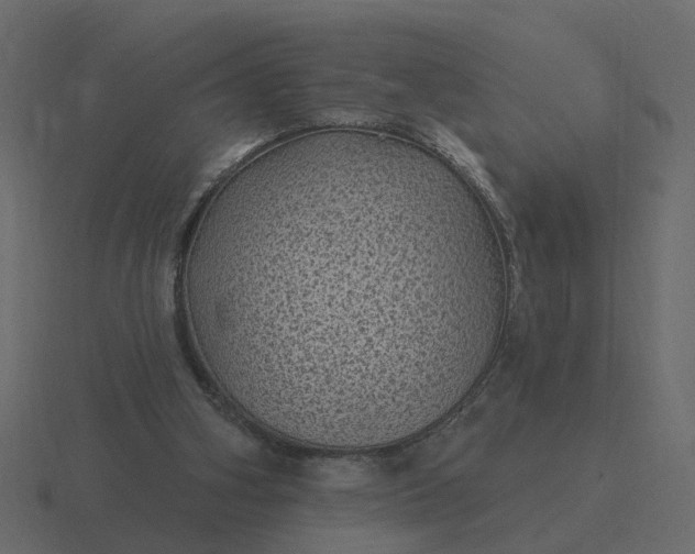 X0000116610106200912241741