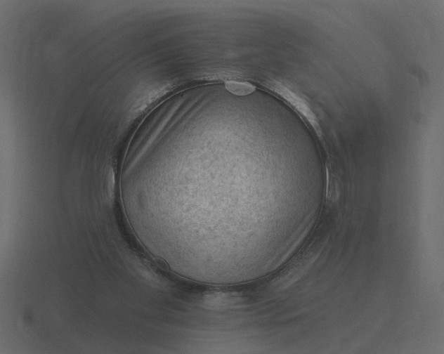 X0000116610109200912241741