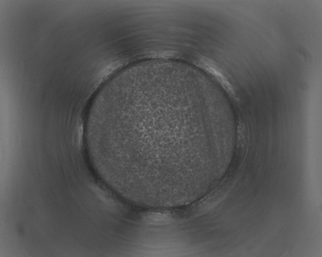 X0000116610110200912241741