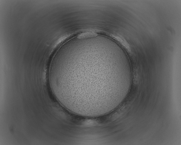 X0000116610111200912241741