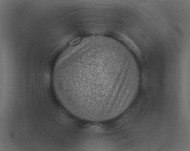 X0000116610113200912241741