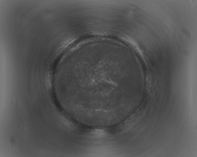 X0000116610114200912241741