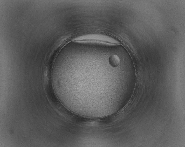 X0000116610116200912241741