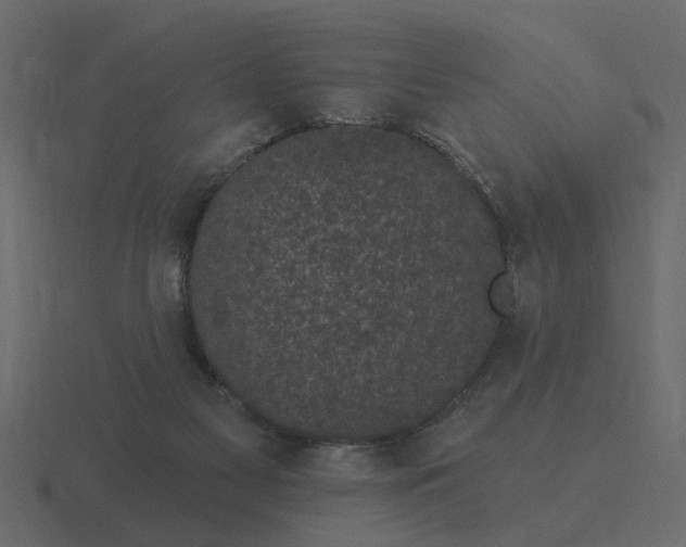 X0000116610117200912241741