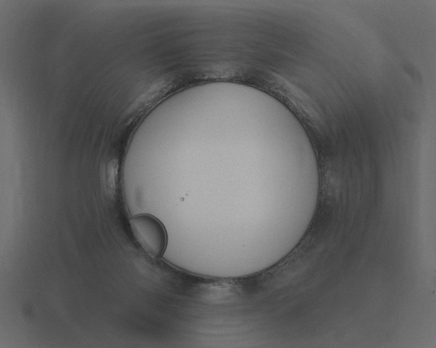 X0000116610118200912241741