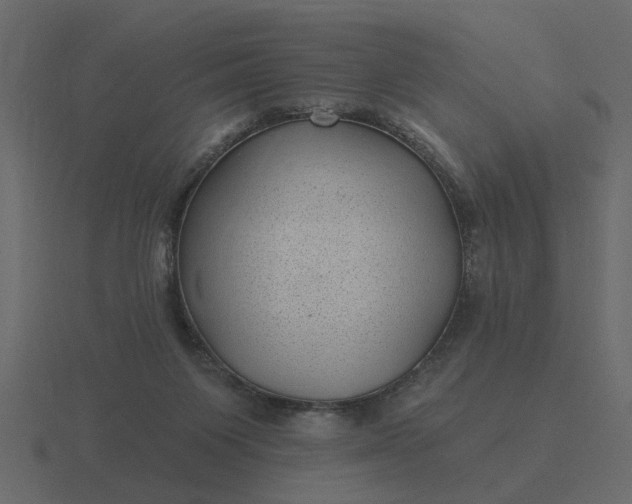 X0000116610119200912241741