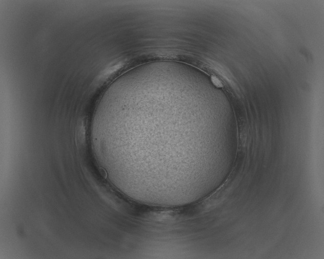 X0000116610120200912241741