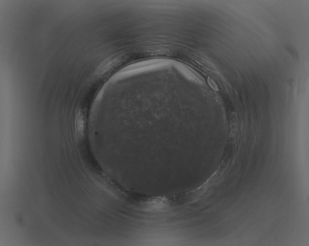 X0000116610124200912241741