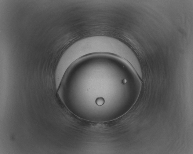 X0000116610125200912241741