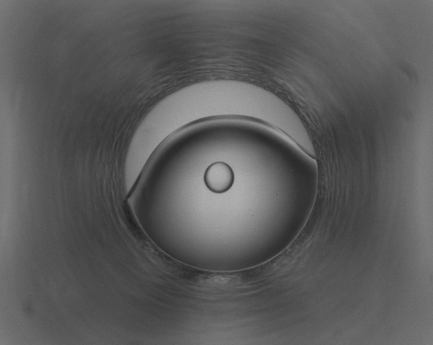 X0000116610129200912241741