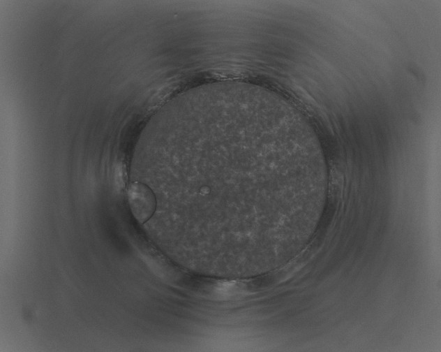 X0000116610130200912241741