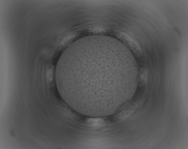 X0000116610133200912241740