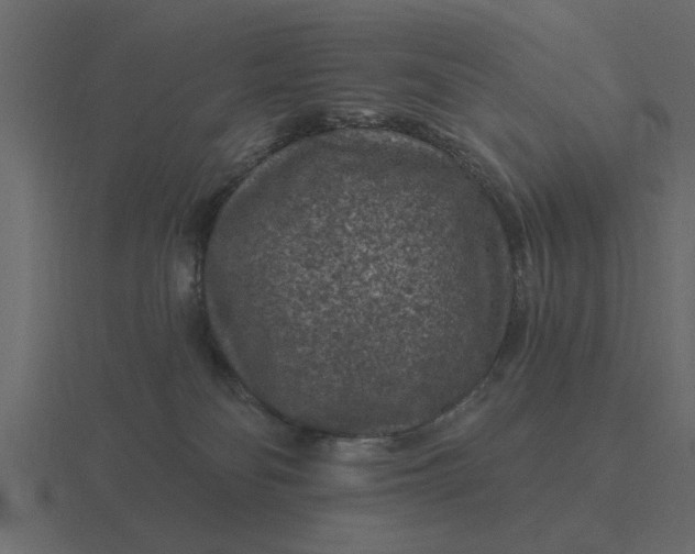 X0000116610134200912241740