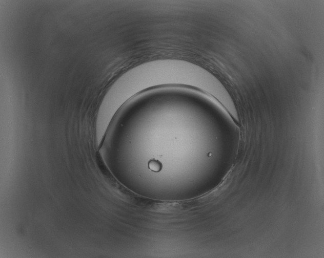 X0000116610136200912241740