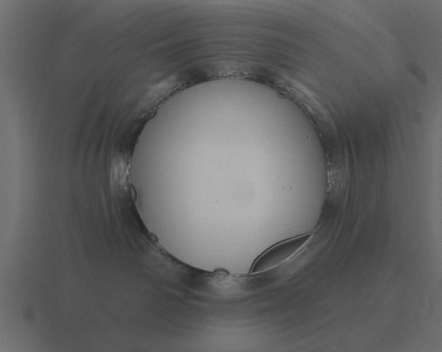 X0000116610142200912241740