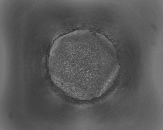 X0000116610144200912241740