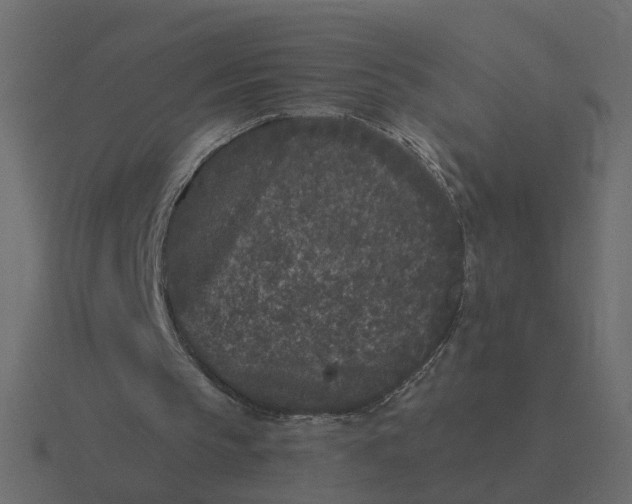 X0000116610145200912241740