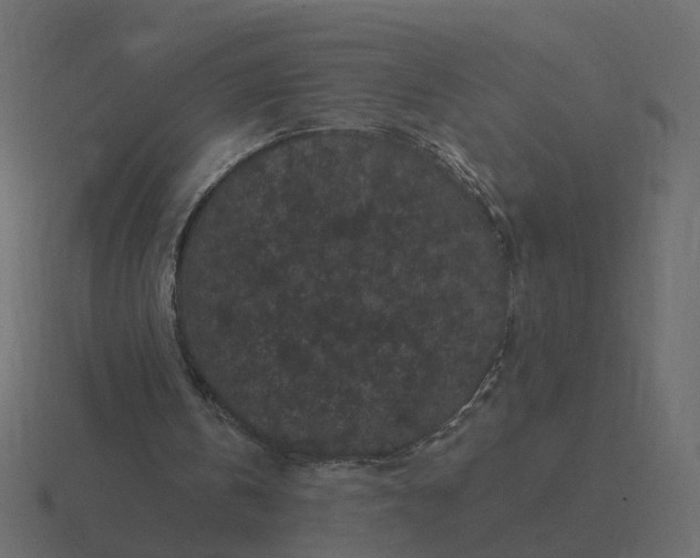 X0000116610146200912241740