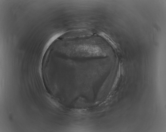 X0000116610147200912241740