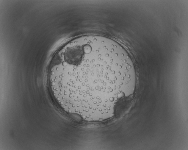 X0000116610149200912241740