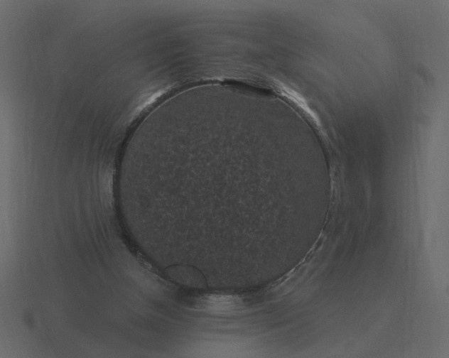 X0000116610154200912241740