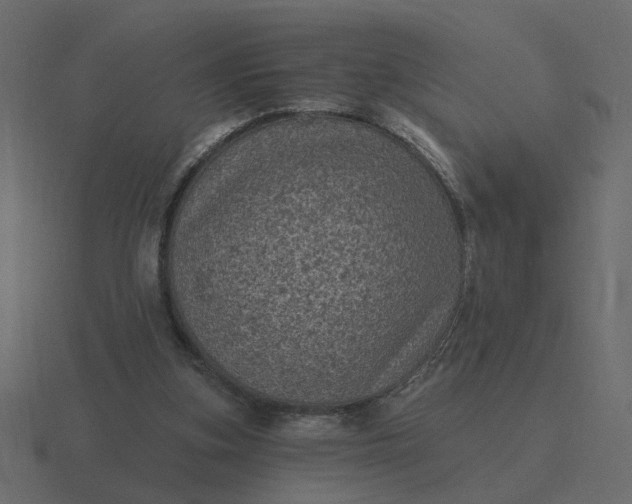 X0000116610155200912241740