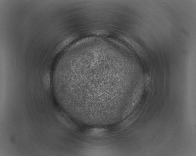 X0000116610158200912241740