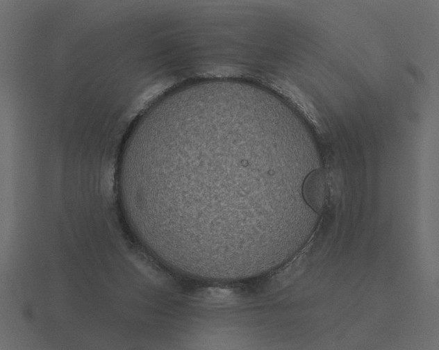 X0000116610159200912241740