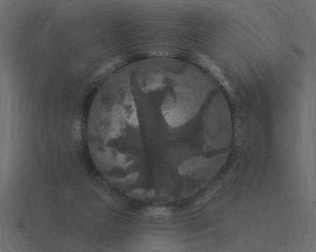 X0000116610161200912241740