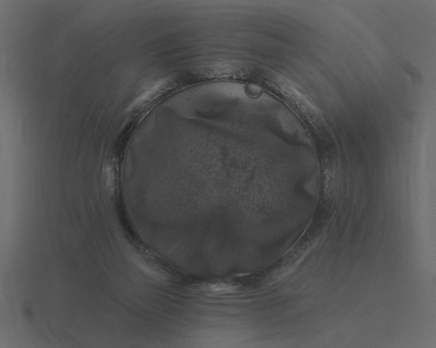 X0000116610165200912241740