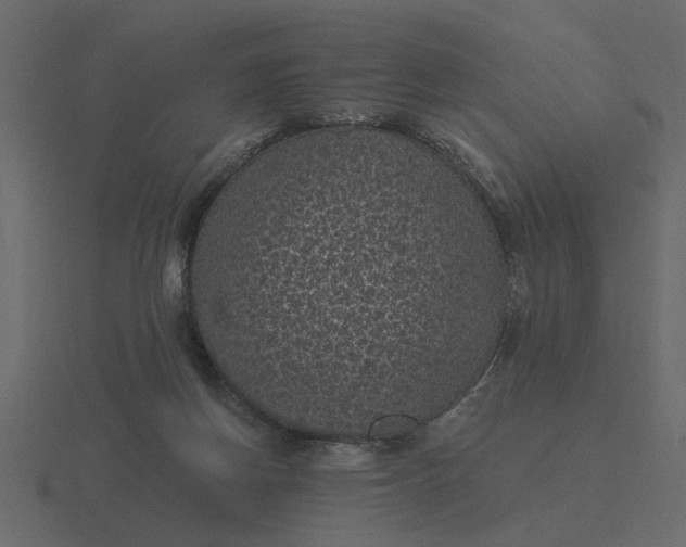 X0000116610166200912241740