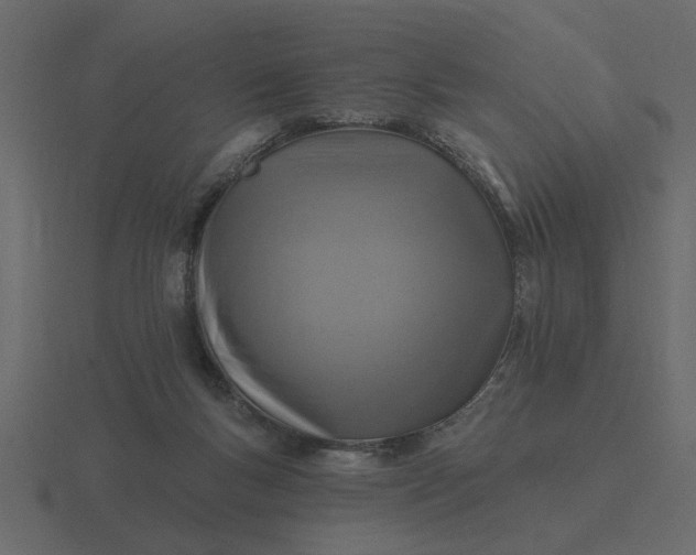 X0000116610167200912241740