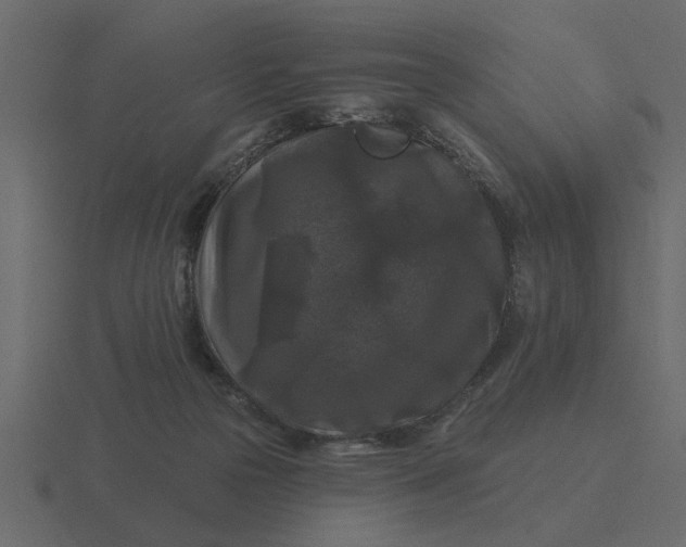 X0000116610169200912241740