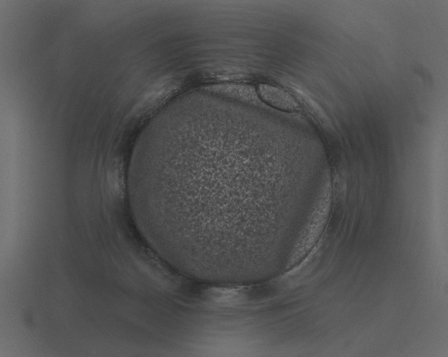 X0000116610170200912241740