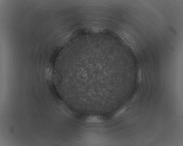 X0000116610177200912241740