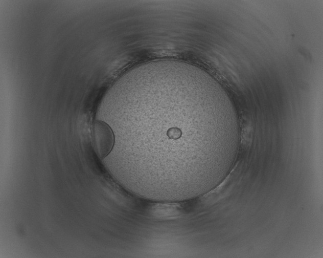 X0000116610179200912241740