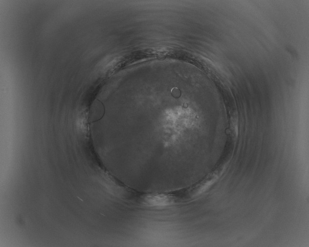 X0000116610181200912241740