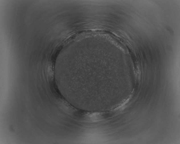 X0000116610186200912241740