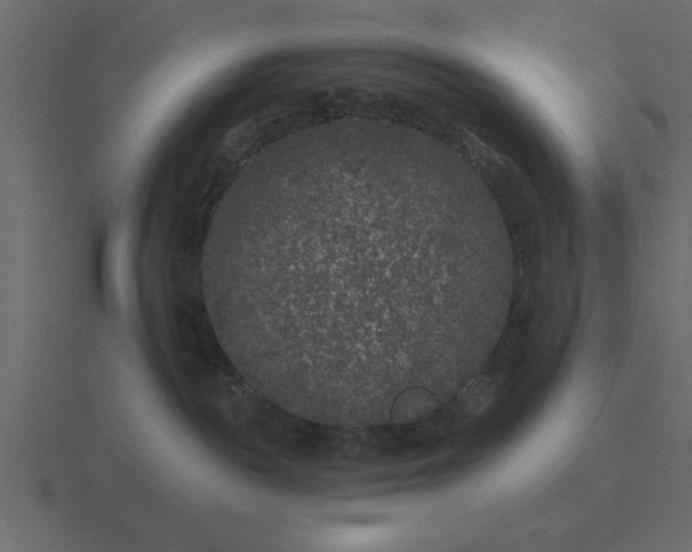 X0000116610189200912241740