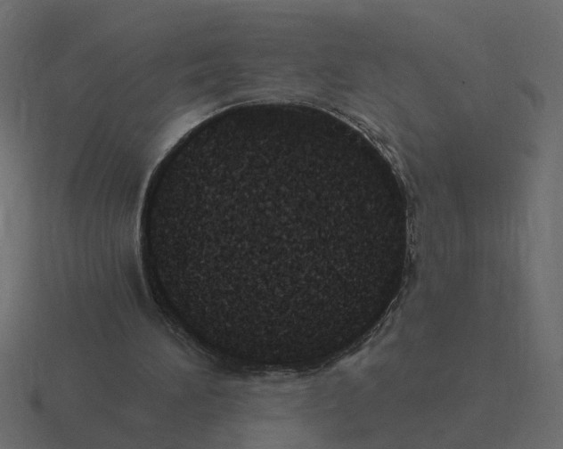 X0000116610196200912241740