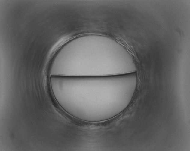 X0000116610197200912241740