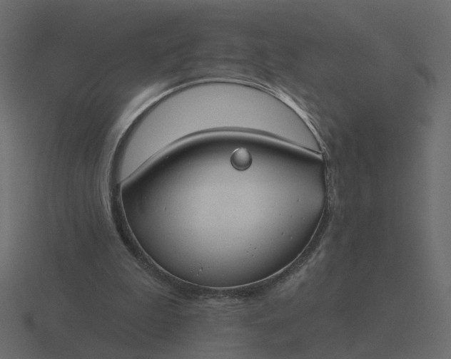 X0000116610199200912241740