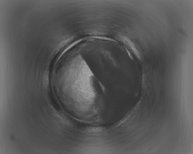 X0000116610202200912241740