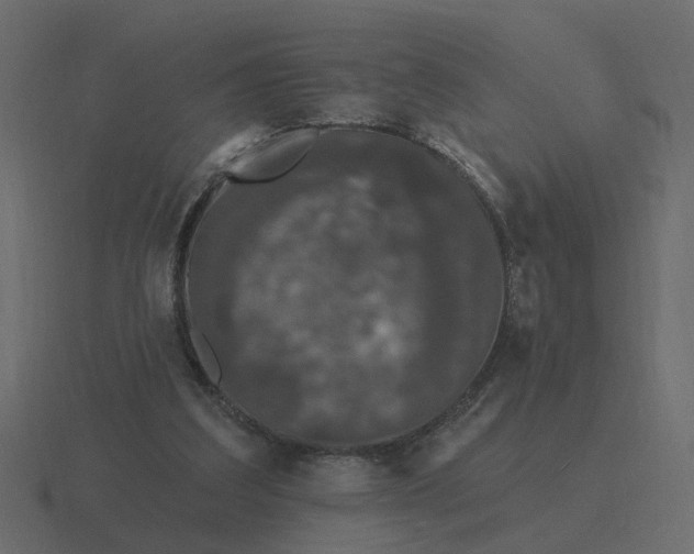 X0000116610203200912241740