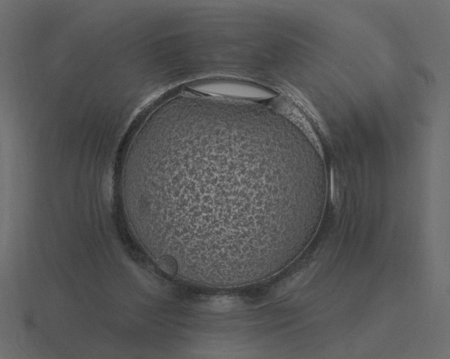 X0000116610204200912241740