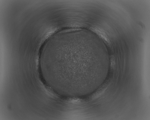 X0000116610206200912241740