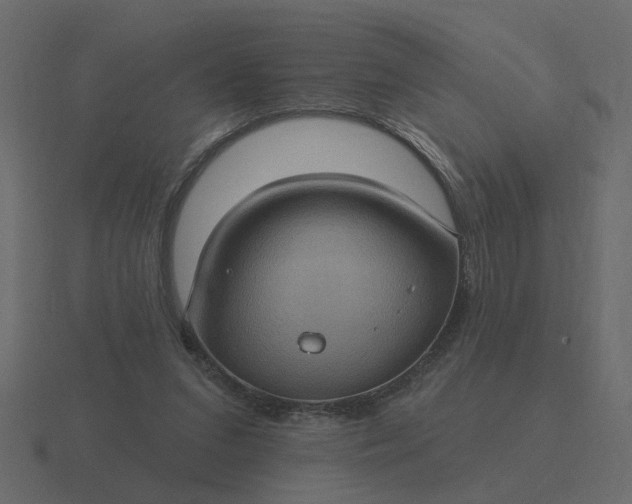 X0000116610207200912241740