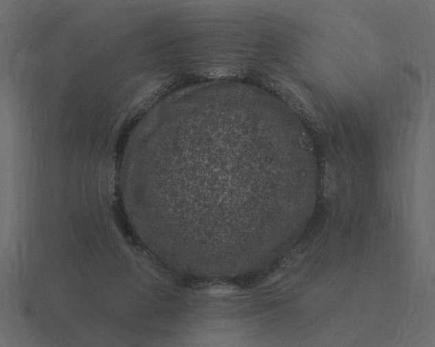 X0000116610210200912241740